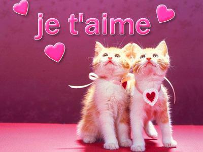 les deux chat