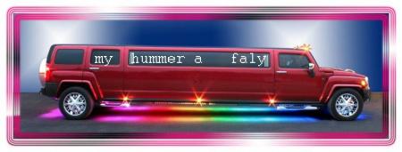 my   hummer
