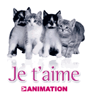 les 4chats